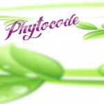 Натурални козметични продукти Phytocode | Бургас